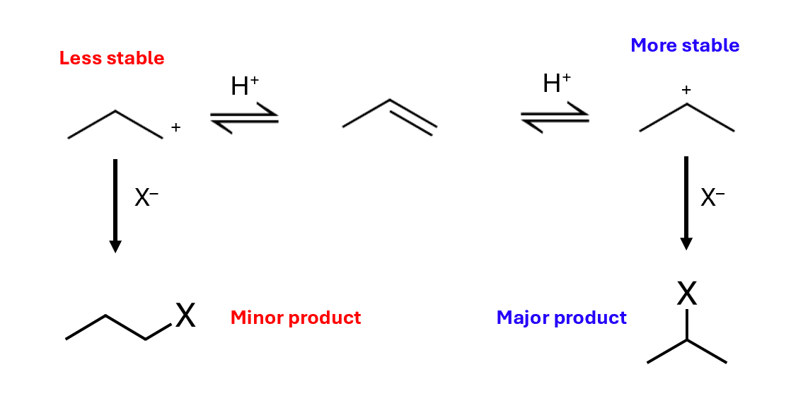 <p>More stable secondary carbocation is more likely to form</p>