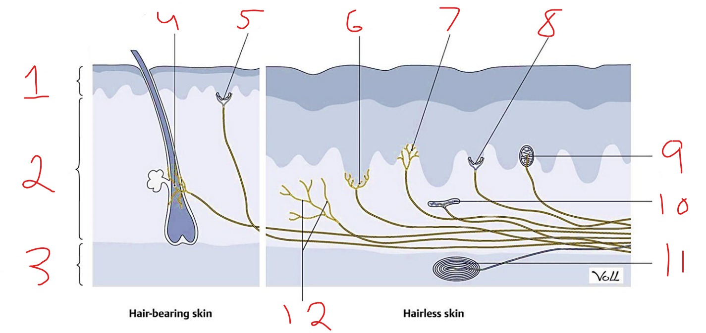 <p>What is #3?</p>