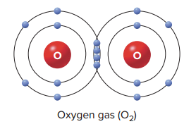 A double covalent bond occurring in a molecule of oxygen gas.