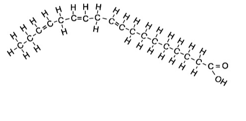 <p><span>Contains more than one carbon double bond&nbsp;</span></p>