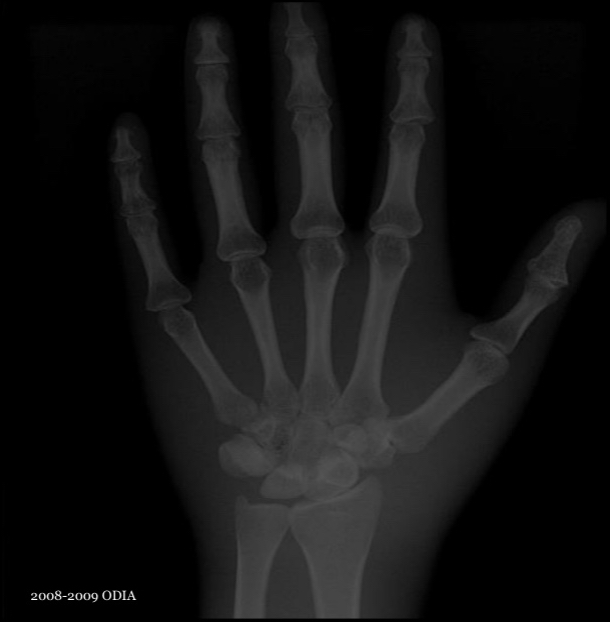 <p>What is this image showing?</p>