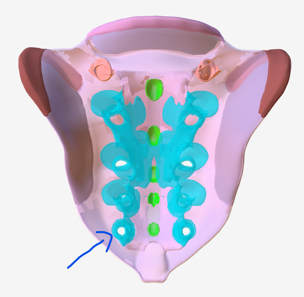 <p>Hoe heet het onderdeel van dit bot?</p>