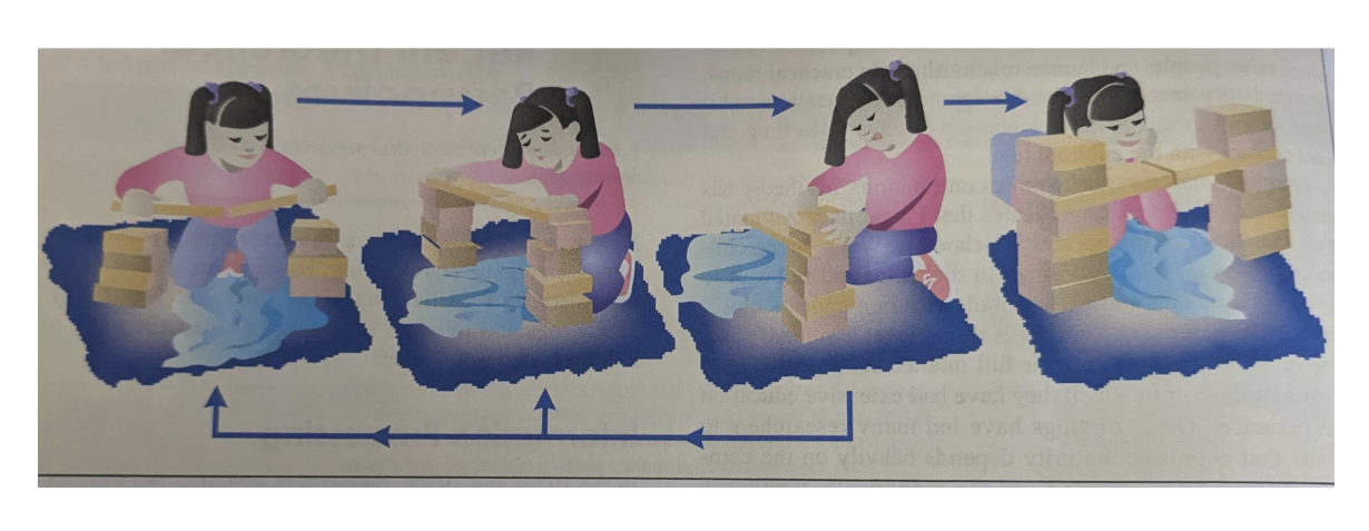 <p>Used to describe the development of cognitive abilities. It breaks down thinking into the sub-components. </p><p>Information processing emphasizes the flow of information through different components (coded, transformed, &amp; organized). Looks at the precise steps individuals take to problem-solve and complete tasks. The role of available knowledge and memory capacity is important in influencing performance. </p>