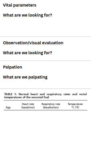 <p>Vital Parameters of the neonate foal</p>