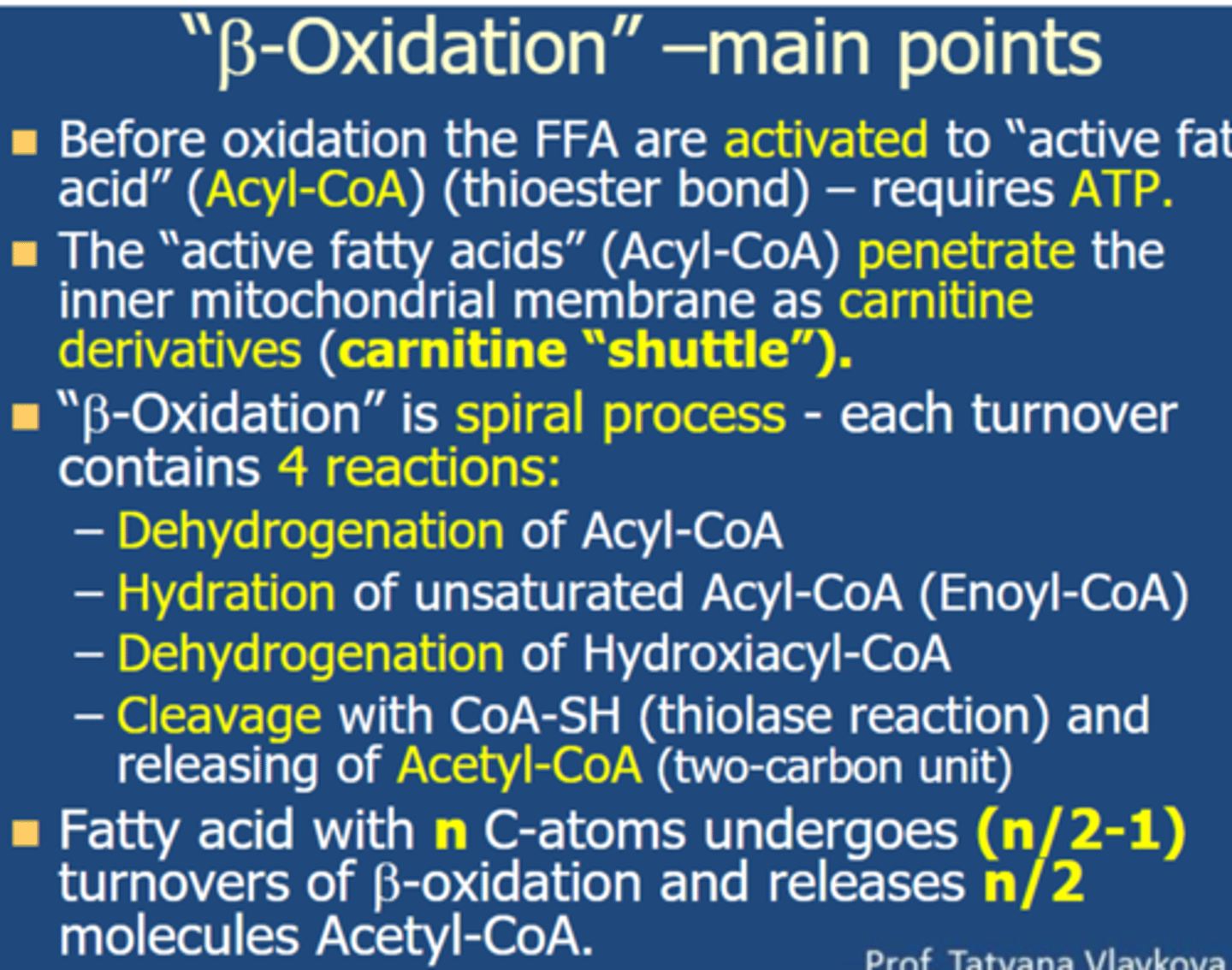 Biochemistry Yr2 Oxidation of Fatty Acids Quizlet Flashcards Knowt