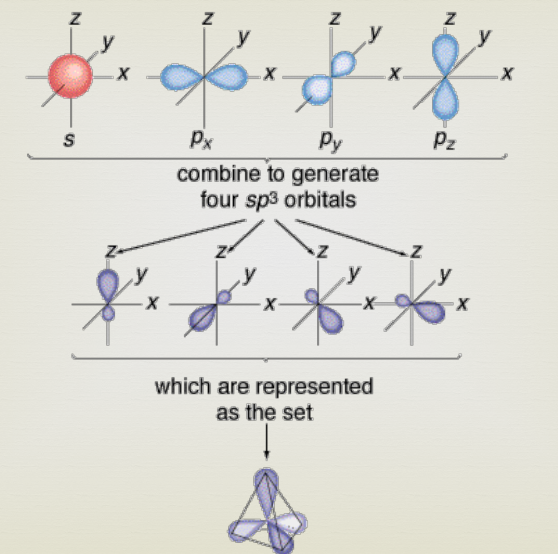 <p>In chemistry, hybridization is the concept of mixing atomic orbitals to form new hybrid bonding orbitals, which can form covalent bonds between atoms, or hold a lone pair of electrons, in valence bond theory.</p>