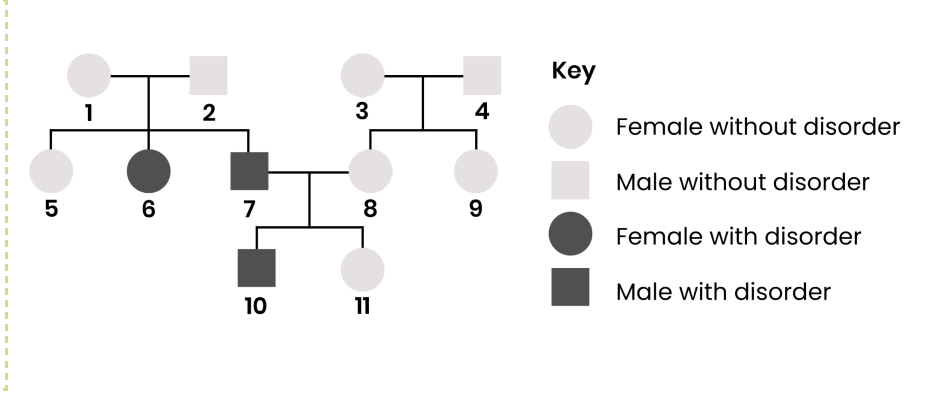 <p>The figure shows the inheritance of a</p><p>genetic disorder in a family.</p><p>Person 7 and person 8 plan to have</p><p>another child. Determine the</p><p>probability that the child will be a</p><p>male who has the disorder. Use the</p><p>symbol H for the dominant allele</p><p>and h for the recessive allele.</p>