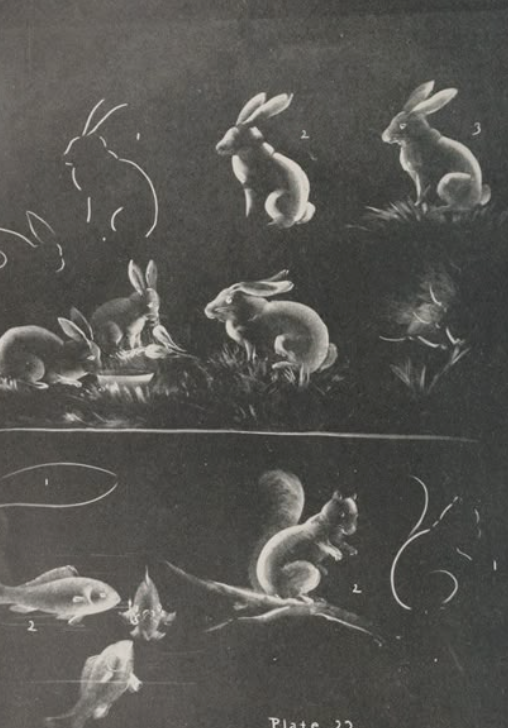 knowt flashcard image