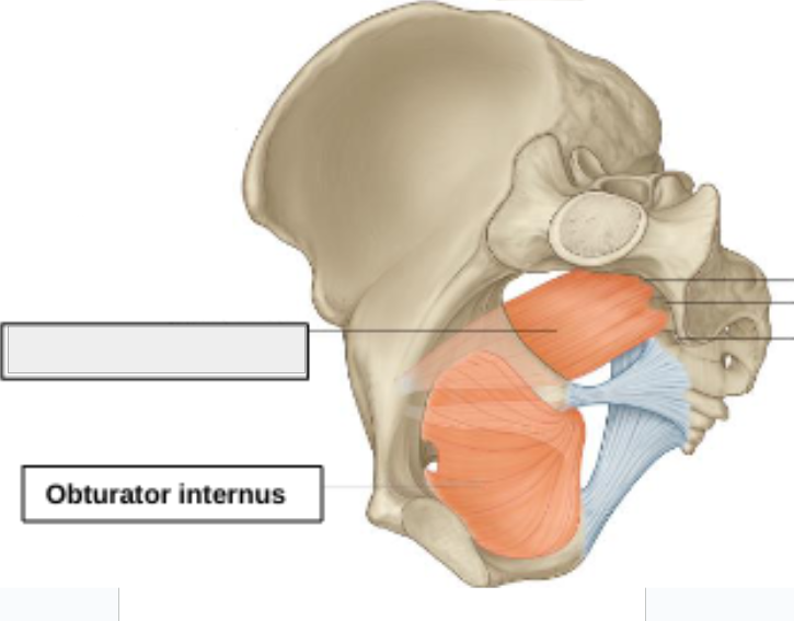 <p>what structure is that?</p>