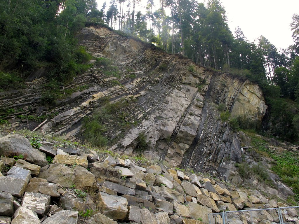 <p><span>sedimentary sequence, typically found in foreland basins, characterized by clastic rocks like sandstones, conglomerates, and shales. Usually overlain on top of flysch</span></p>