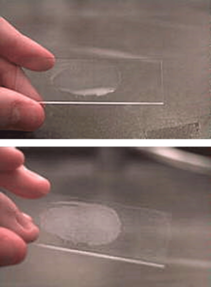 <p>This is an example of</p>