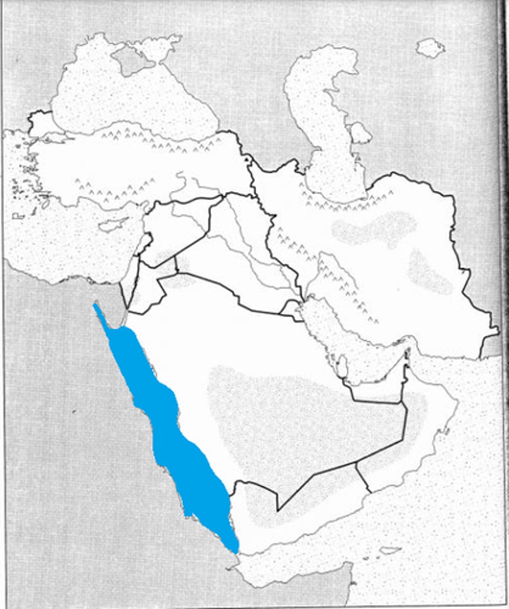 knowt flashcard image