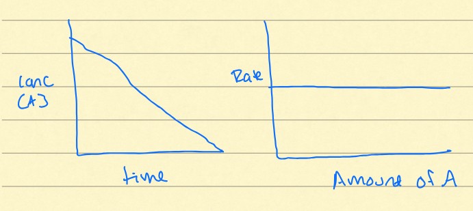 <p>Do these graphs represent a zero, first, or second-order rate?</p>