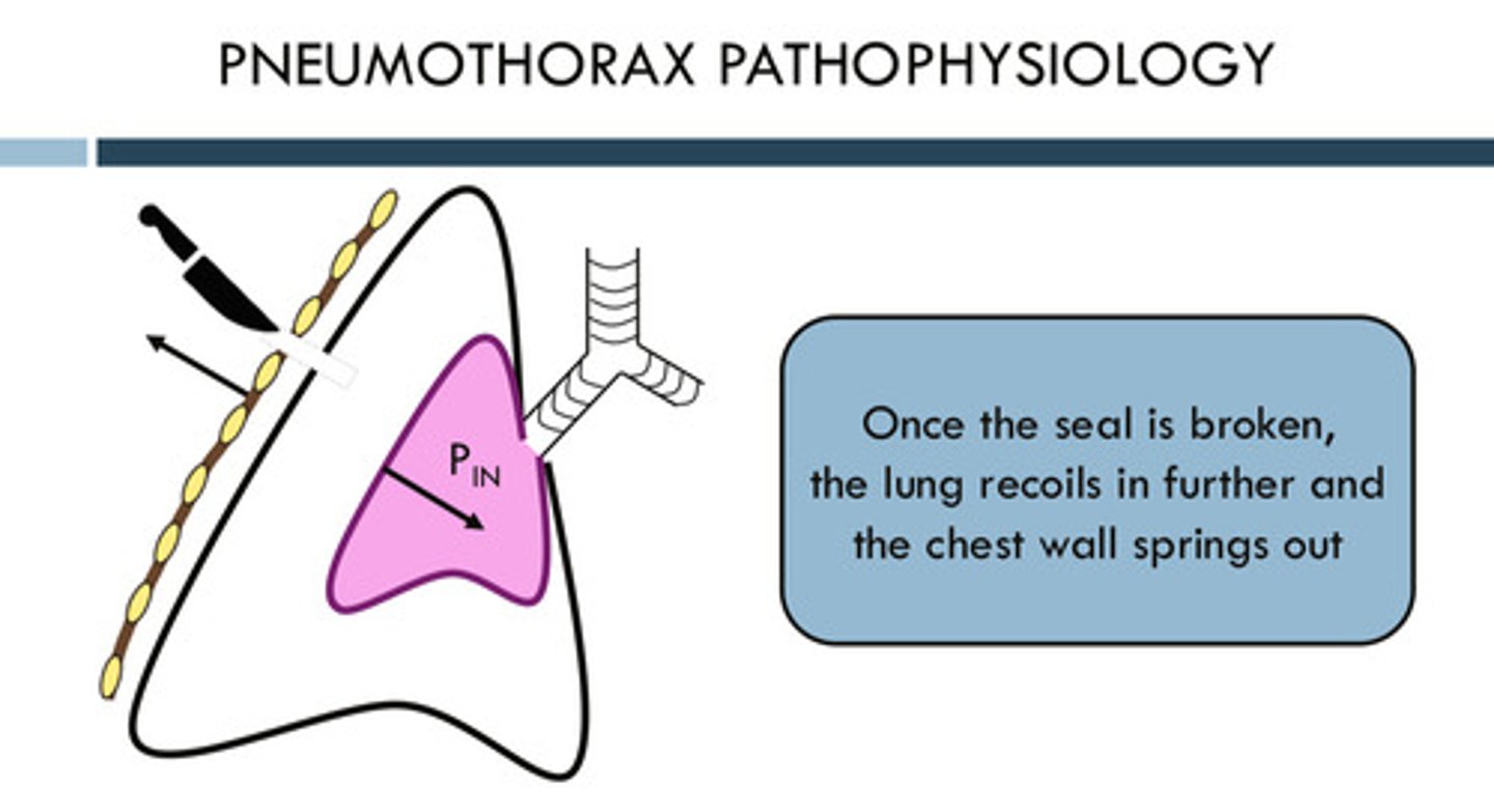 <p>once the seal between the lung and the chest wall (the pleural space) is broken due to some reason, the lung recoils IN further (collapses) and the chest wall springs out (the inward recoil of the lung is no longer balanced with the outward recoil of the chest wall)</p>