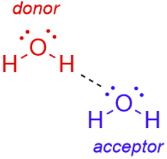 <p>An electronegative atom with a lone pair of electrons that accepts a hydrogen bond.</p>