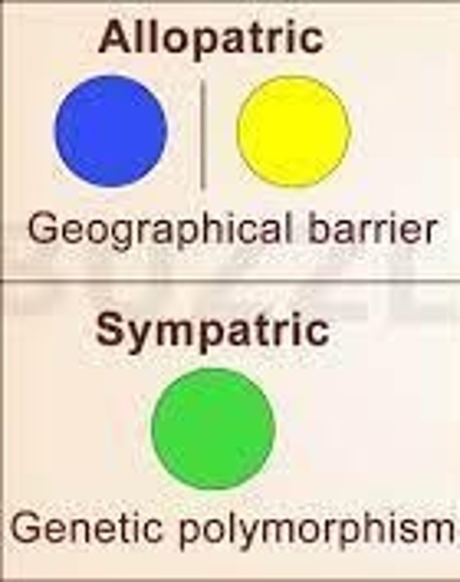 <p>Environmental changes can create barriers that divide populations, leading to isolation and divergent evolution.</p>
