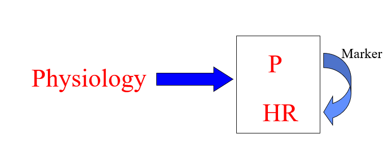 <p><span style="background-color: transparent;"><span>Physiology causes the personality and the health risk&nbsp;</span></span></p><p><span style="background-color: transparent;"><span>Marker- we can predict health risk from personality because we can see personality first&nbsp;</span></span></p><p><strong>an individual's inherent, often genetic, susceptibility to developing certain diseases or traits, </strong>stemming from their fundamental makeup (constitution) rather than just external factors, encompassing inherited genetic variations (like BRCA mutations for cancer) or epigenetic changes, influencing health outcomes and even personality/behavioral tendencies<br></p>