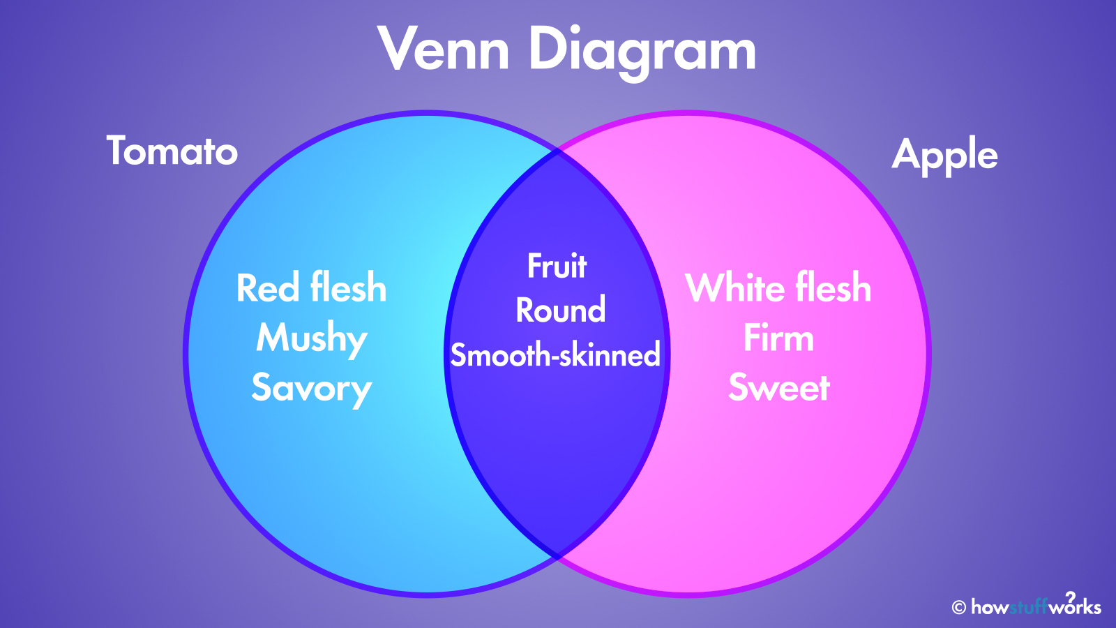 <p>Identify the type of graphic organizer </p>