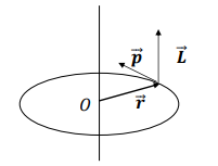 <p>L is perpendicular to the plane of rotation and oriented:</p><ul><li><p>Upwards for anti-clockwise rotation.</p></li><li><p>Downwards for clockwise rotation.</p></li></ul><p></p>