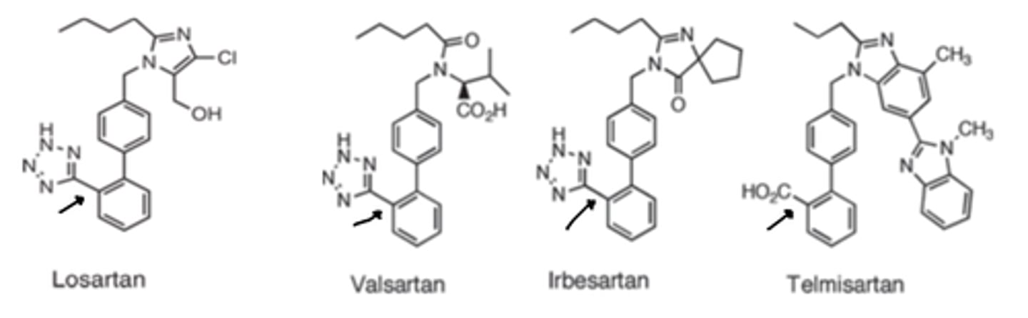 <p>- ortho</p><p>(Tetrazole is superior in terms of metabolic stability, lipophilicity and oral bioavailability)</p>