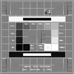 <p>developed a pattern used to measure format dimensions, contrast, luminance and resolution of display systems</p>