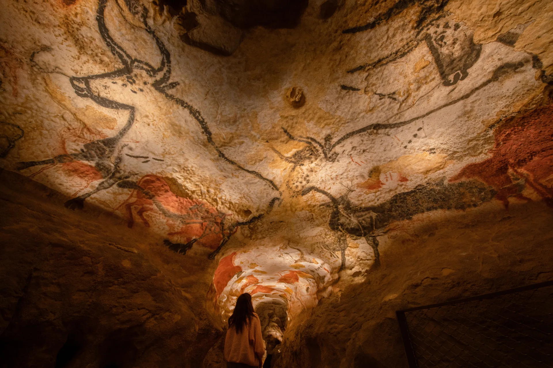 <p>Lascaux</p>