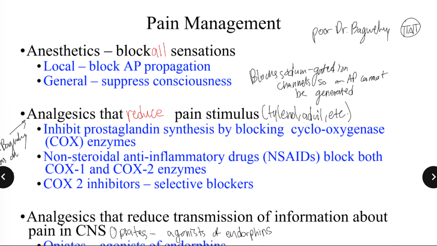 <p>Local Anesthetic — Block AP propagation</p><p><strong>General Anesthetic — Suppresses consciousness </strong></p>