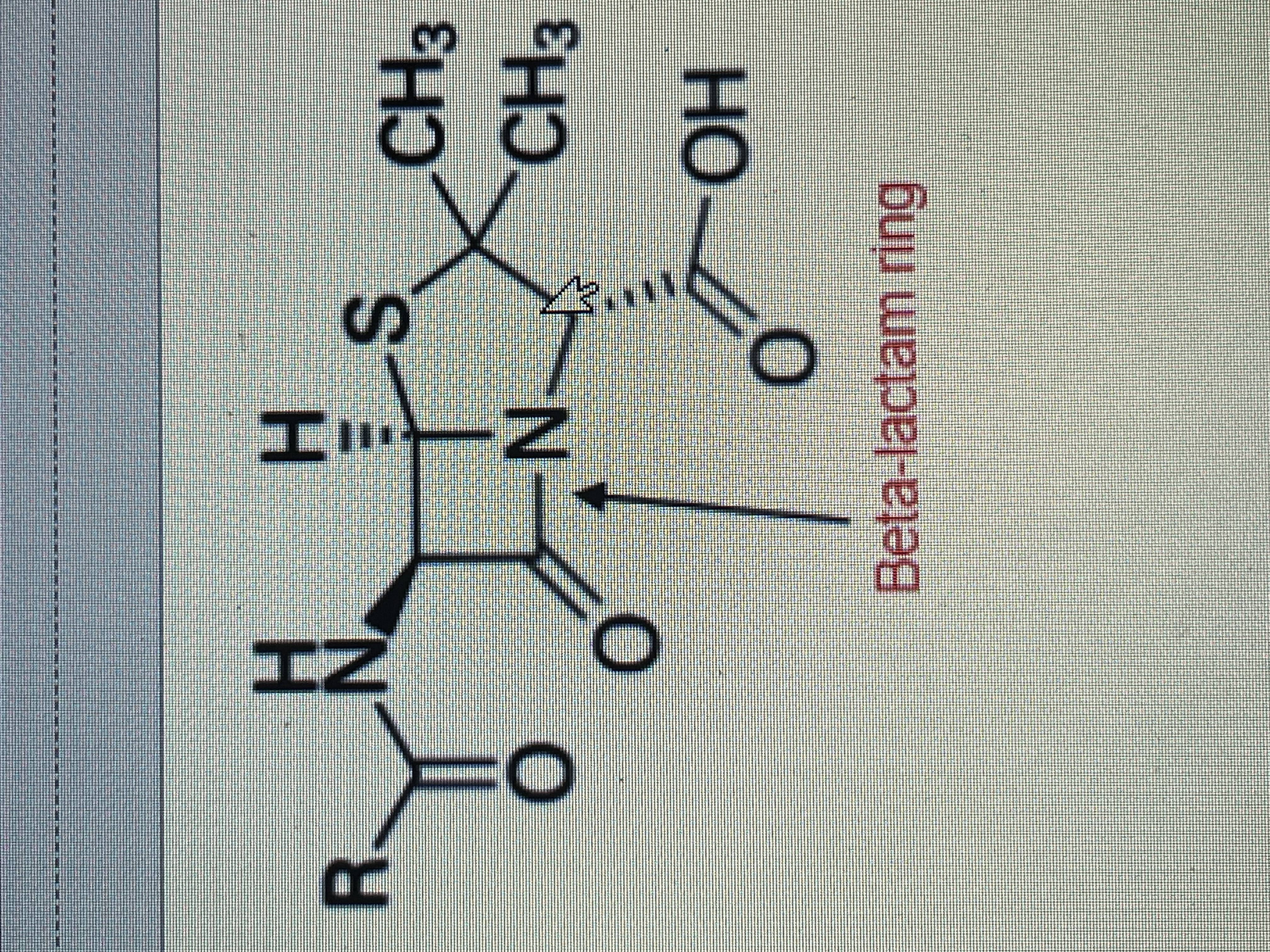 <p>The skeletal structure of which type of antibiotic is depicted in the image?</p>