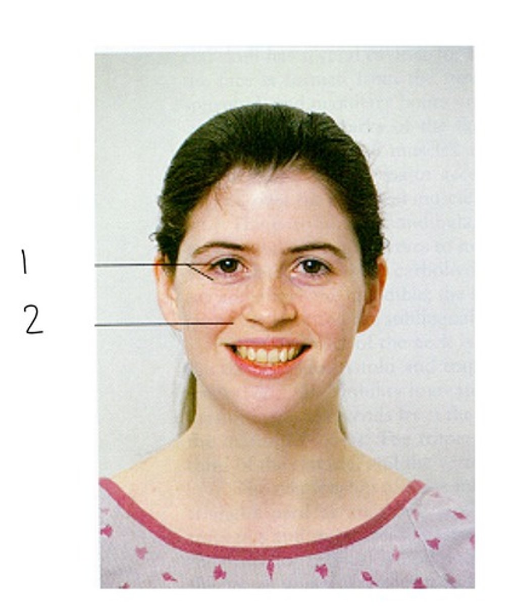 <p>1</p>