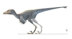<ul><li><p>Derived group of theropods with birdlike characterics (bird dino!)</p><ul><li><p>flexible rotating wrists</p></li><li><p>shift in shoulder join </p></li><li><p>(prey manipulation and range of motion)</p></li><li><p>keeled sternum+flappable arms</p></li><li><p>furcula</p></li></ul></li></ul><p></p>