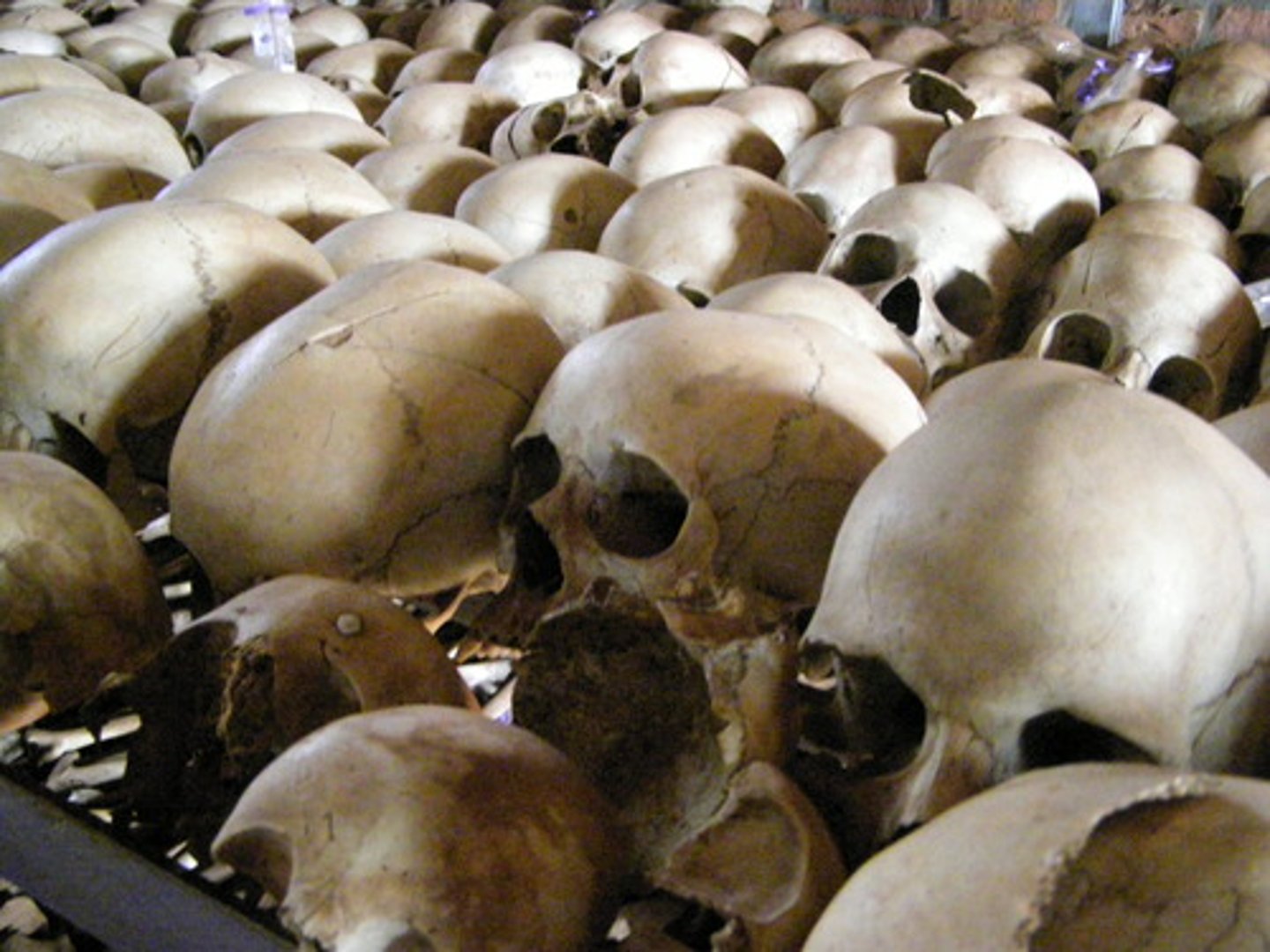 <p>the deliberate killing of a large group of people, especially those of a particular ethnic group or nation (e.g., Holocaust)</p>