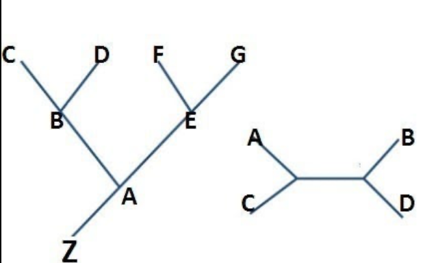<p>Which is the rooted tree? (1 or 2)</p>