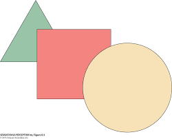 <p>= a near object covers/blocks an object farther away</p>