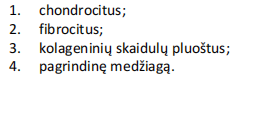 <p><span style="font-family: "Calibri Light";"><strong><span>Skaidulinė kremzlė </span></strong><span>(tarpslankstelinio disko pjūvis)</span></span></p>