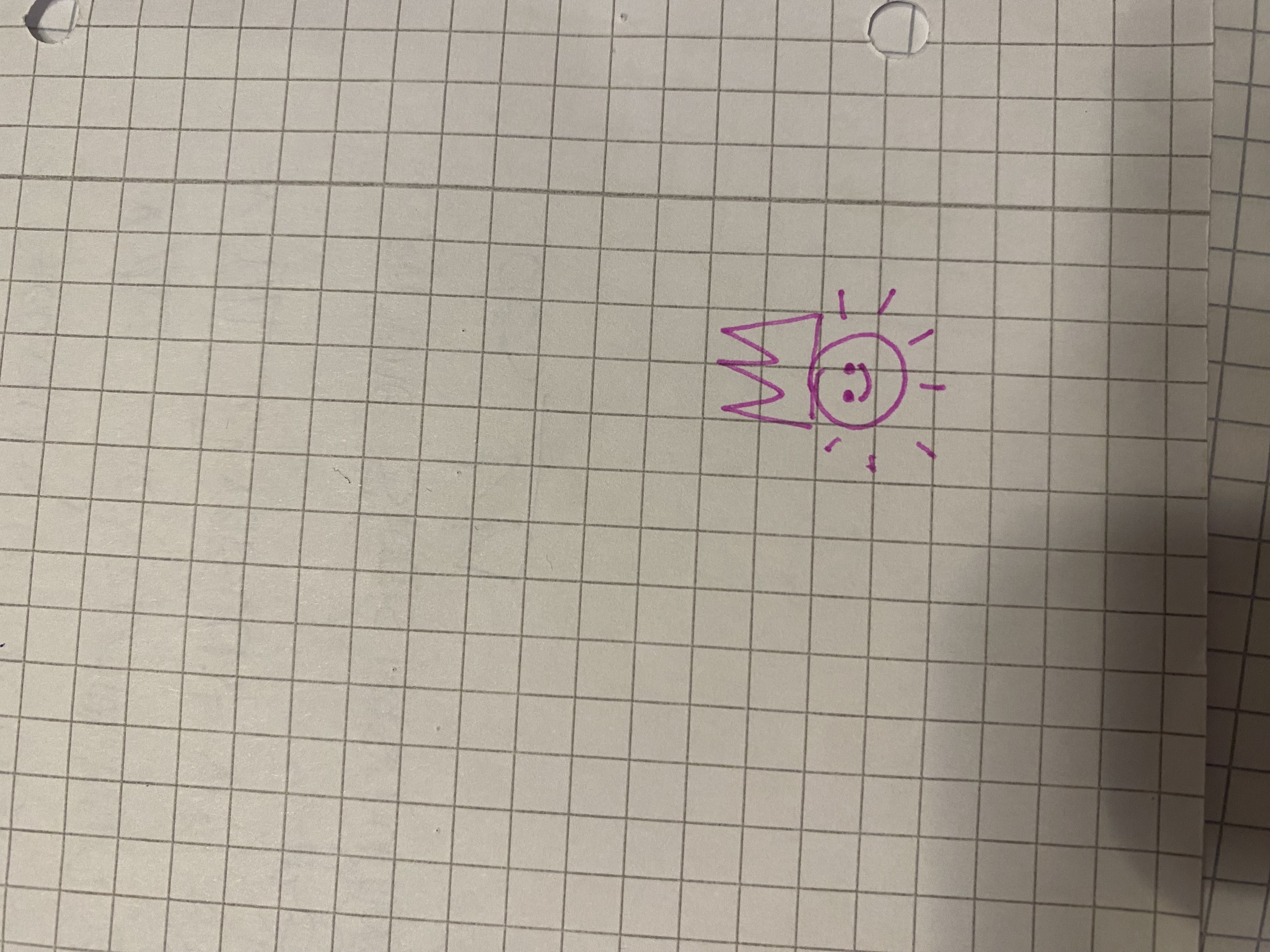 <p>Sonnenkönig</p>