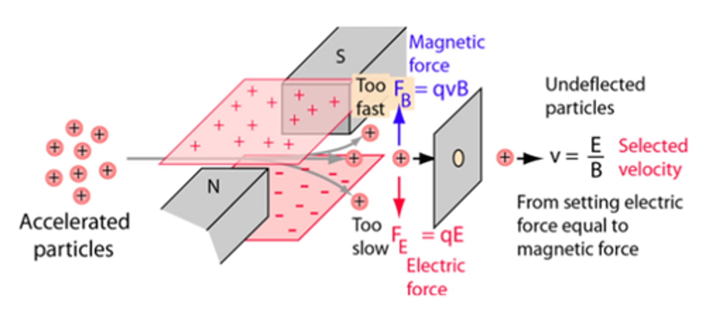 <p>- A uniform electric field must act in the opposite direction to a magnetic field.</p><p>- Two parallel plates with a voltage across them are placed at right angles to a uniform magnetic field produced from a horseshoe magnet.</p><p>- Particles at a specific velocity given by v = E/B where E is the electric field strength and B is the magnetic flux density will travel in a straight line which separates particles.</p>