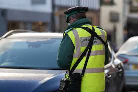<p>traffic warden | parking attendant (n)</p><ul><li><p><span><span>A </span></span><strong>traffic</strong><span><strong><span> </span></strong></span><strong>warden</strong><span><span> gave me a </span></span>ticket<span><span> for </span></span>parking<span><span> on a </span></span>double<span><span> </span></span>yellow<span><span> </span></span>line<span><span>.</span></span></p></li><li><p><span><span>It took just three </span></span>minutes<span><span> for a </span></span><strong>parking</strong><span><strong><span> </span></strong></span><strong>attendant</strong><span><span> to </span></span>slap<span><span> a </span></span>ticket<span><span> on the </span></span>illegally<span><span> </span></span>parked<span><span> </span></span>car<span><span>.</span></span></p></li></ul><p></p>