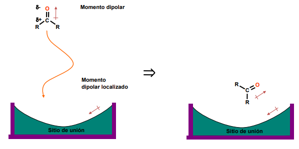<ul><li><p class="ds-markdown-paragraph"><span>Ocurren entre una carga iónica y el momento dipolar de otra molécula.</span></p></li><li><p class="ds-markdown-paragraph"><span>Más fuertes que las interacciones dipolo-dipolo.</span></p></li></ul><p></p>