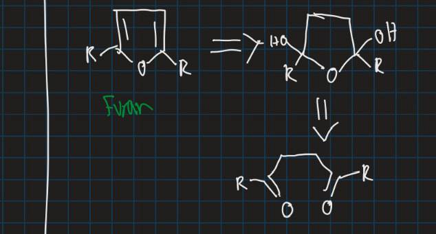 <ul><li><p>Similar to pyrrole, diol also forms</p></li></ul><p></p>