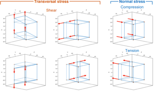 <p>The force that acts per a unit of area, indicates how intense the force acting on each atom will be</p><ul><li><p>Parallel application (normal)</p></li><li><p>Perpendicular (shear)</p></li><li><p>Shortens bonds- compressive</p></li><li><p>Lengthen bonds- tensile</p></li></ul><p></p>