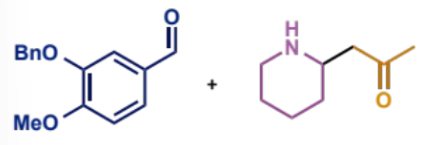 <p>first process/stages in intramolecular Mannh</p>