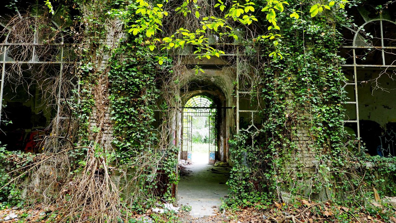<p><span style="background-color: transparent;"><span>"Recently, after enduring more than half a century of relentless, pernickety attention, the ornamental garden had been abandoned. ..)"</span></span></p>