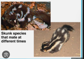 <p>the isolation where the seasonal timing of reproduction is different for species living in the same habitat </p>