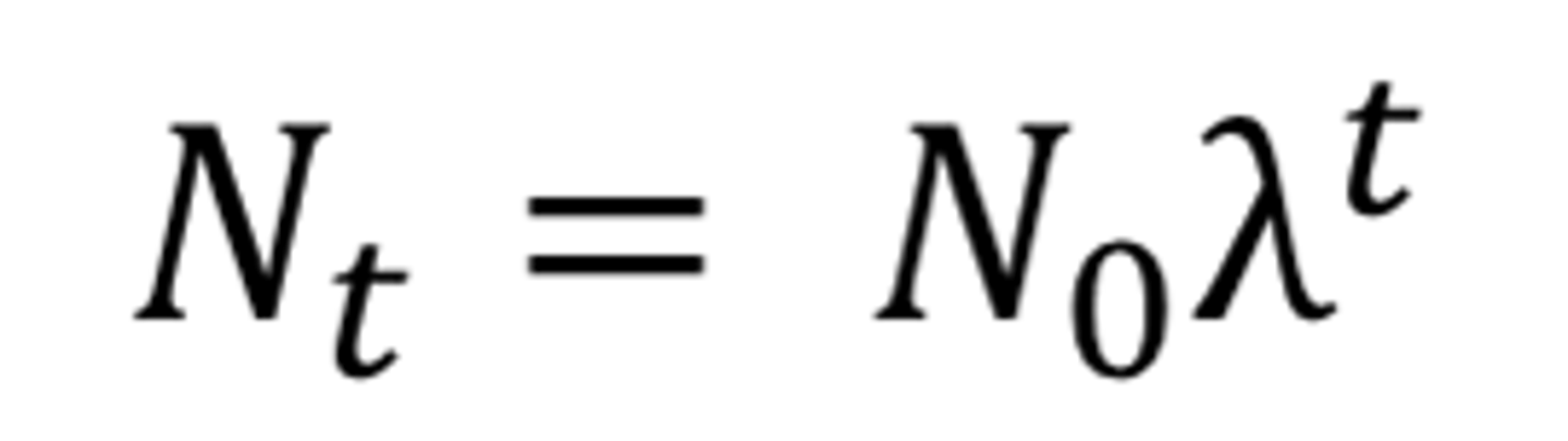 <p>Nt = N0λ^t</p>