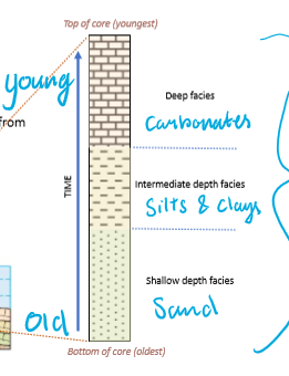 <p>Sands → Silts → Clays → Carbonates</p><p>Oldest → Youngest</p>