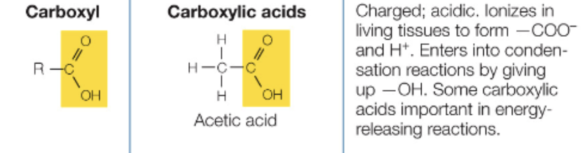 <p>C double bonded to O and single bonded to OH, polar, charged</p>