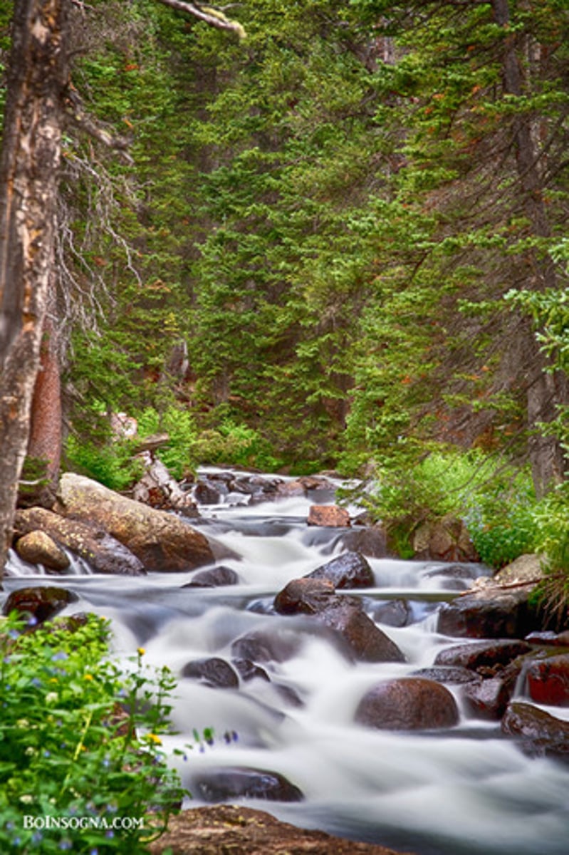 <p>The river becomes wider and deeper.</p><p>Water is warmer and murkier (dirty, gloomy).</p><p>More phytoplankton (think of photosynthesis) and other organisms.</p><p>Marches and other wetlands are common.</p>