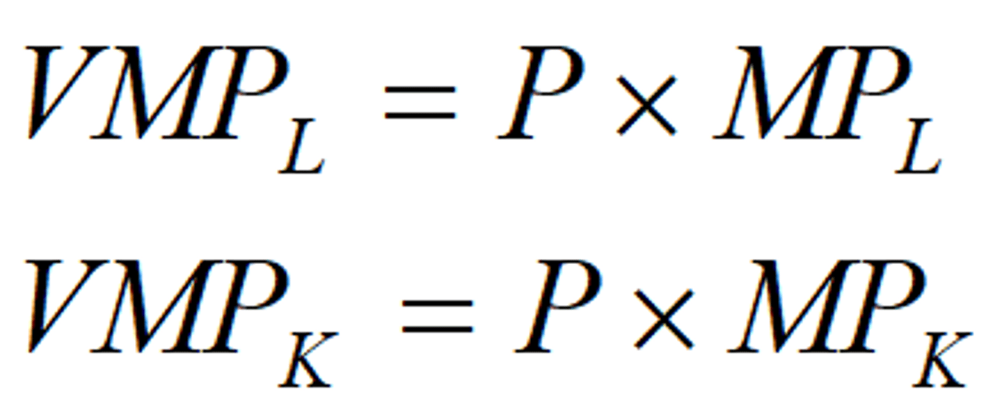 <p>Value marginal product (VMP):</p><p>The (monetary) value of the output produced by the last unit of input.</p>