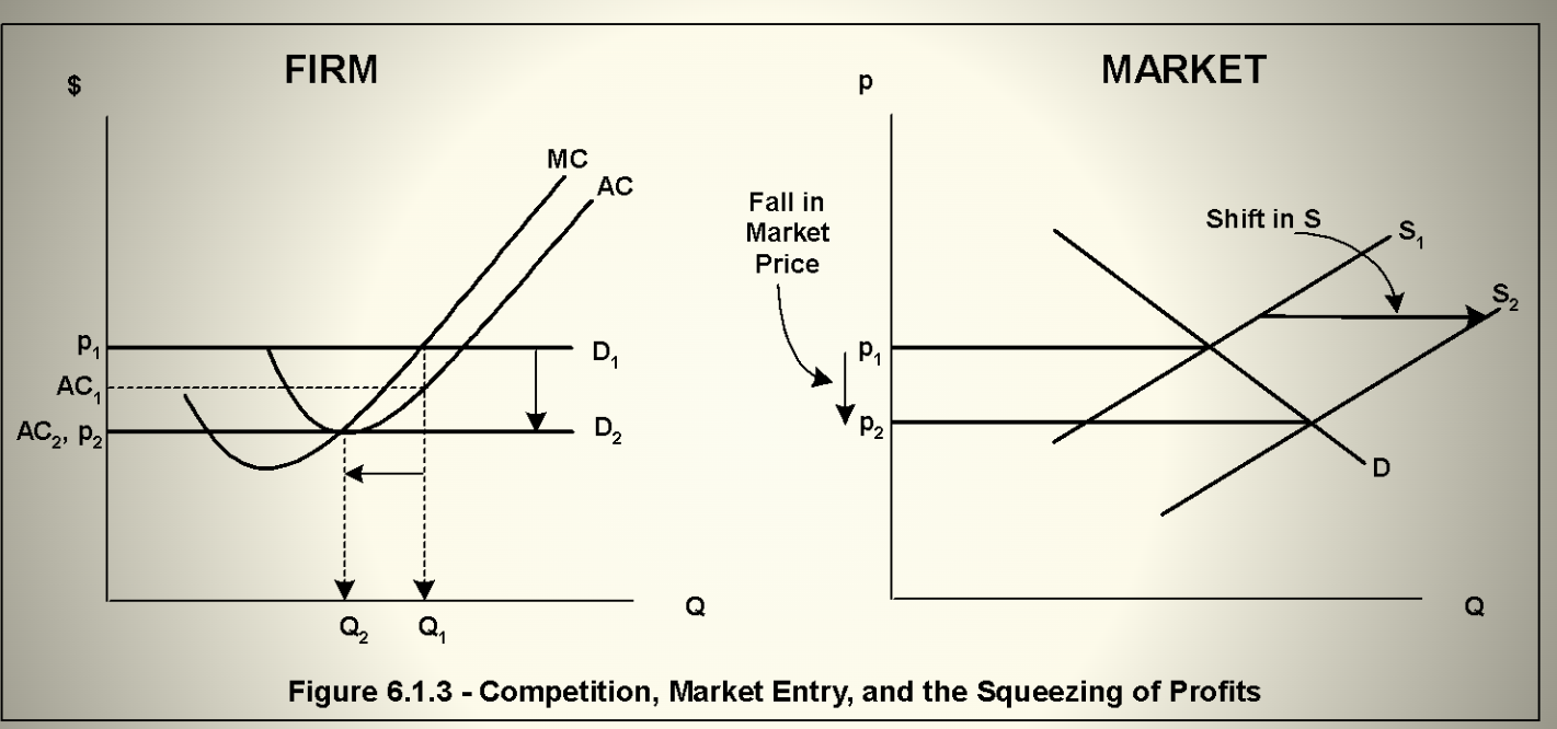 <p>Firm has MC and AC while Market has supply and demand</p>