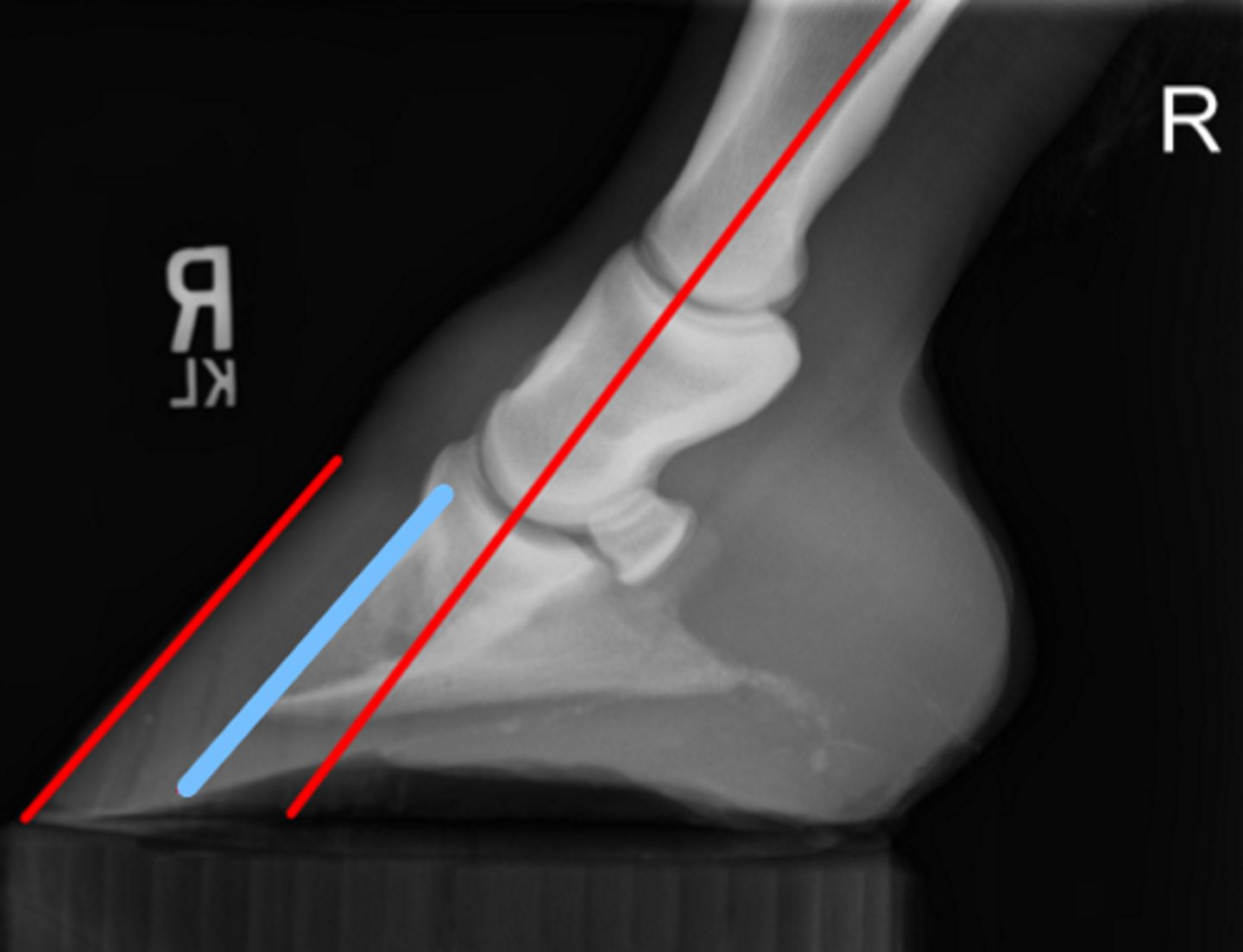 <p>What measurement is this?</p>